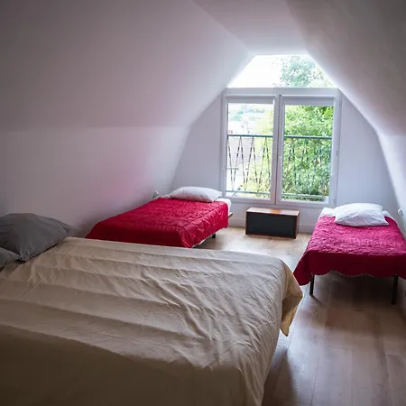 Manoir Du Chateau Gaillard - 15 A 20 Personnes 別荘 レ・ザンドリ